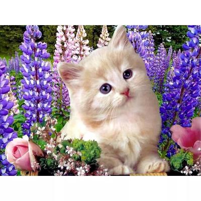 China Cat Diamond Painting Animal Full Square /Round Diamond Embroidery Mosaic Lavender Cross Modern Stitch Gift for sale