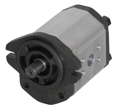 China Extruded Alluminum Body BHP2.6A1 Cast Iron Hydraulic Gear Pump for sale