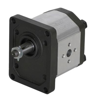 China Hydraulic Oil Cast Gear Pump for sale