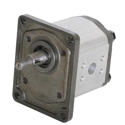 China Construction Machinery Hydraulic Gear Pump for Fiat for sale