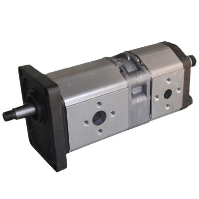 China Double Oil Hydraulic Gear Pump for sale