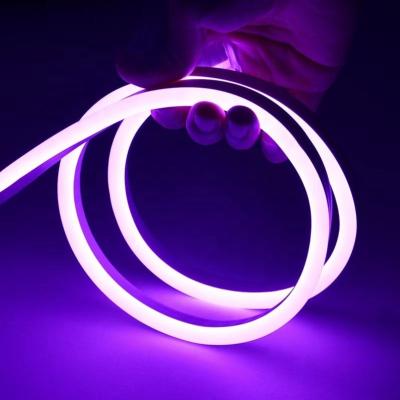 China Buildings IP65 Waterproof Flex Neon Rope Light Strip 110V 220V 24V 12V Silicone PVC Color Changing RGB LED Neon Lamp for sale