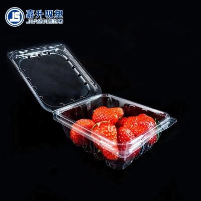 China New Style 250g Disposable Clear Plastic Folding Boxes For Fruit Blueberry Packaging for sale