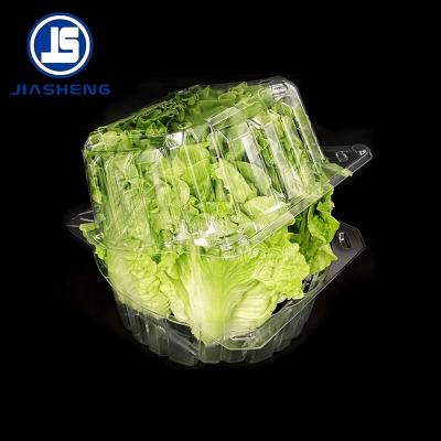 China Disposable Blister Lettuce Clamshell Disposable Clear Plastic Packaging For Vegetable for sale