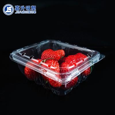 China 250g Disposable Clear Plastic PET Fruit Packaging Box With Air Holes for sale