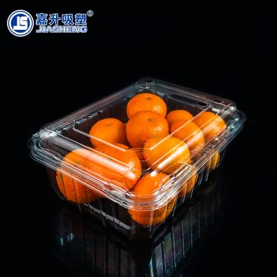 China Food Fruit Packaging PET Plastic Fresh Fruit And Vegetable Packaging Box Container for sale