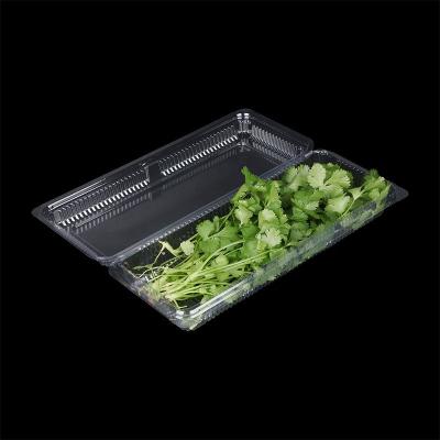 China Fruit Greens Herbs Disposable Clear Plastic Clamshell Packaging for sale