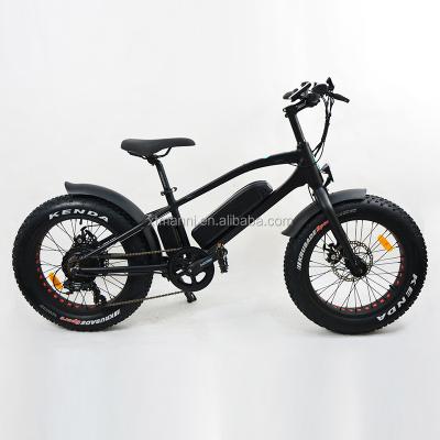 China Aluminum Alloy High Power 48V 500/1000W Fat Tire Fat Snow Bike 20IN FAT Ebike Electric Bicycle for sale