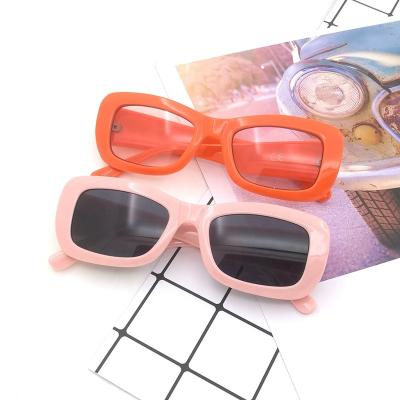 China Fashion Sunglasses Shape Thin Frame CP Frame Plastic Temple Sunglasses for sale