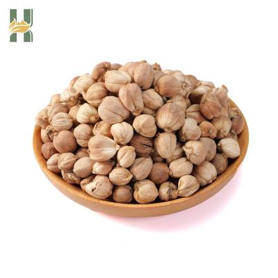 China High Quality Natural Dry Cardamom Nutmeg Spice Nutmeg Herb For Cooking for sale