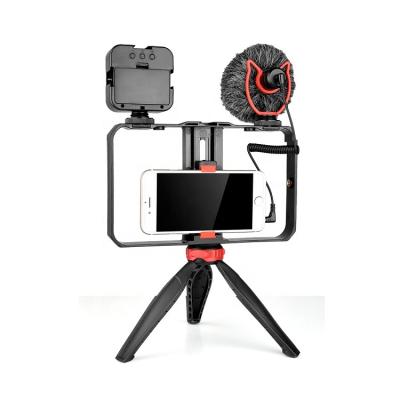 China Light Weight in Running Professional Video Equipment with Microphone and LED Video Light Vlogging Kit Smartphone Youtube for sale