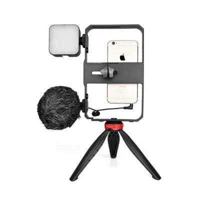 China Professional Light Hot Sales Microphone and LED Light Video Vlog Smartphone Kit for Filming Maker for sale