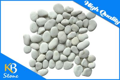 China Irregular Shape White Pebble Stone Mosaic Tiles Meshed On 12