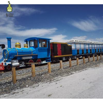 China Professional tourist attraction low price production park track train for sale