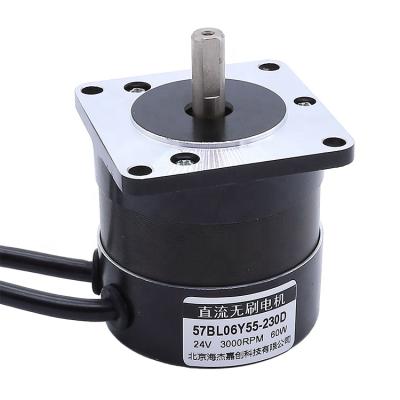 China Totally Enclosed Brushless Motor 24V 60W 3000rpm BLDC Motor and Controller 57bls 157BL06Y55-230D for sale