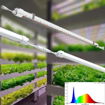 China Seed Starting IP65 Hydroponics T5 Grow Lights 4ft Tube NFT Indoor Plants Microgreen Vertical Growing Full Spectrum 20W T5 Led Grow Light Bar for sale