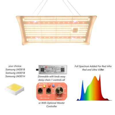 China Patented design for improved uniformity commercial led to raise UV IR lights design Samsung LM301B LM301H LM281B MeanWell Driver Chips Patented for improved uniformity for sale