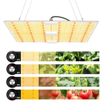 China Seed Starting Diy Led Light China Grow Lights For Hobbyist Home Growing for sale