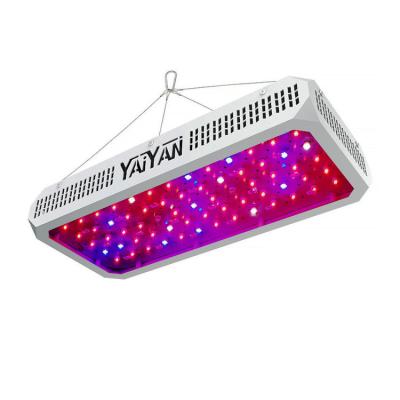 China Full-Spectrum Samsug lm301b Garden Light 120w Indoor Plants Lights Hydroponic Lamp Led For Growing Light Strip Full Spectrum Greenhouse Plant for sale