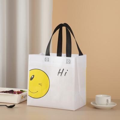 China Convenience Recyclable Customized Type Printed Design Portable Nonwoven Bag for sale