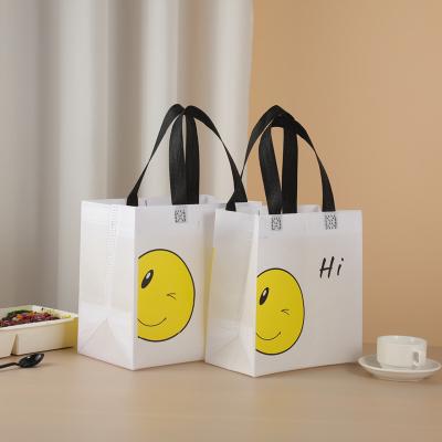 China OEM Recyclable Simple Portable Creative Reusable Nonwoven Deli Bag for sale