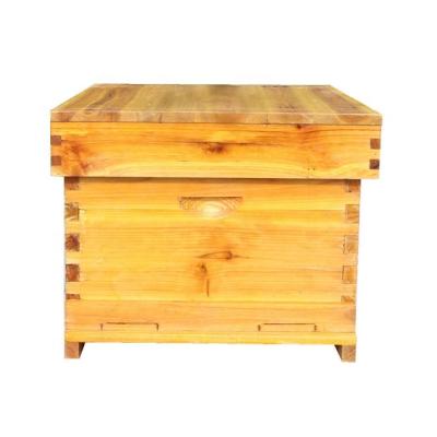 China Honey Flow Hive High Quality Wooden Practical Fir Super Saving Grade Wooden Tree For CN Bee; SIC square 45 cm 0.55 for sale