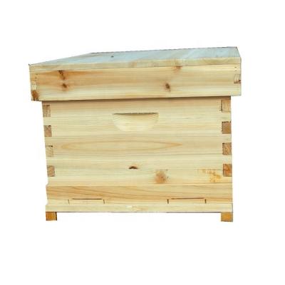 China Practical Professional Price Spruce Wooden Good Fir Hive Professional Box For Bee for sale