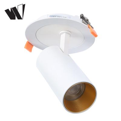 China SAA Modern Professional CE Gimbal COB 15w 25w 30w 35w Adjustable Indoor Ceiling Cylinder Led Spot Light for sale