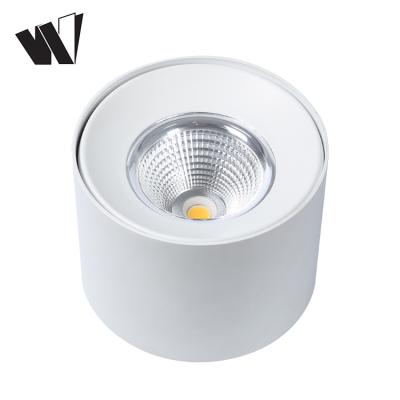 China Modern Products Modern Bathroom Fan Indoor COB 6w 9w 12w 15w 20w 24w 30w 36w Led Ceiling Light for sale