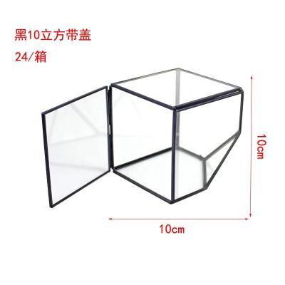 China QY Breathable Wholesale Customization Mini Greenhouse Handmade Geometric Glass Flower Room With Metal Frame For Home Decoration And Wedding for sale