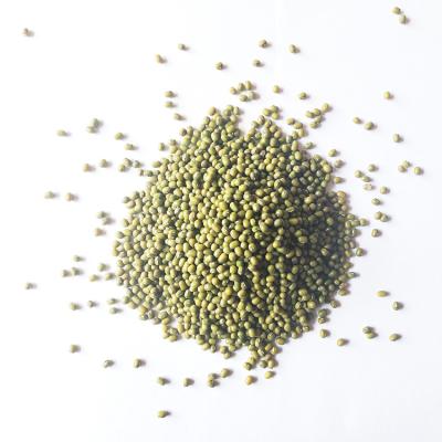 China 2021 Wholesale Dry Mung Bean Green Beans PP Dry Bags Crops for sale