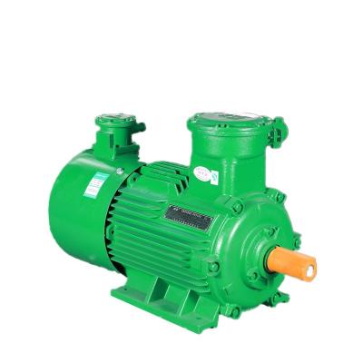 China Explosion Proof Explosion Proof Variable Frequency AC Electric Motor for sale