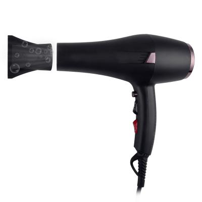 China Professional Barber Styling Tools Hot /Cold Power Adjustment Step Hair Dryer Strong Ionic Household Blow Dryer One Houseold for sale