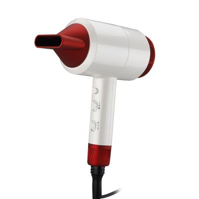 China Amazon 2021 Newest Design Ionic Portable Professional Powerful One Step Hair Dryer for sale