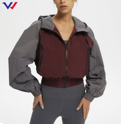 China Breathable Ladies Full Zipper Sports Jacket wcustom Logo Casual Running Light Spring Jacket for sale