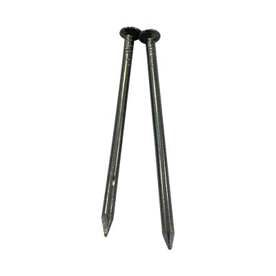 China Flat Head common Steel Roofing Nails Customer Requirements Common Wire Nail for sale