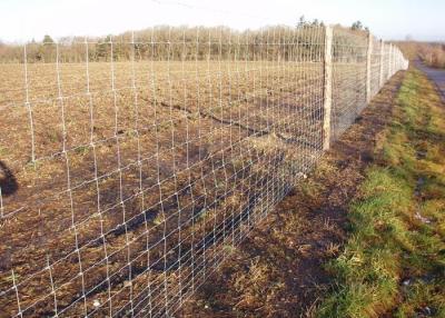 China Het Landbouwbedrijfomheining Livestock Fence Panels van Field Fence Galvanized van de scharnier Gezamenlijke Omheining Te koop