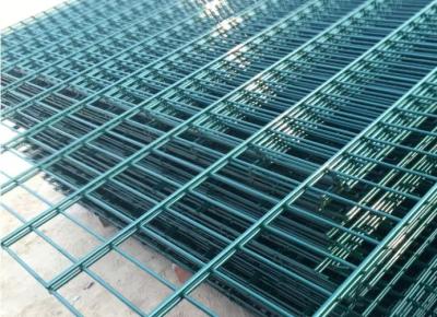 China L3000mm Powder Coating Double Wire Mesh Fencing for sale