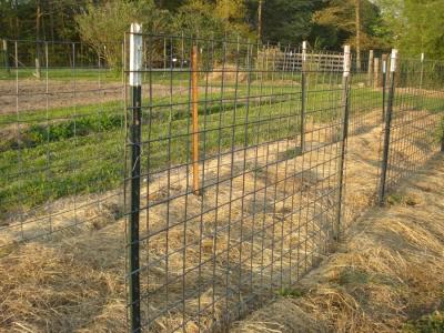 China Painted Farm 0.95lb/Ft 800mm Height Steel Fence T Post for sale