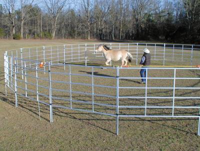 China Galvanized Temporary Mobile 1.7m Corral Fence Panels for sale