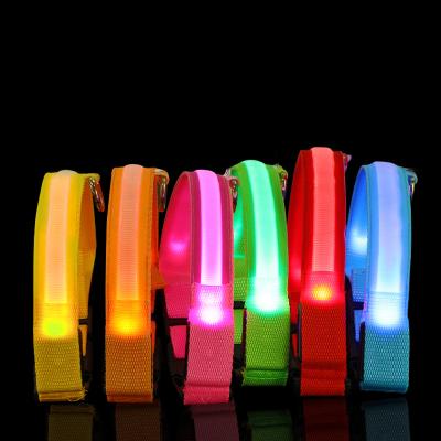 China Lights Up USB Rechargeable Dog Led Collar Pet Collar Durable Glowing Durable Lifetimeled Dog Supplies Collar Led Neon Pets for sale