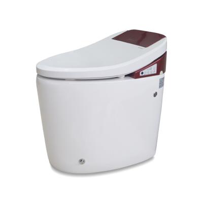 China Automatic Operation Factory Manufacture Electric Stylish Smart Toilet Automatic Toilet With Bidet Faucet for sale