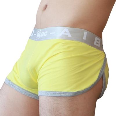 China Anti-static men's boxer shortschino shorts cargo shorts elastic boxer type sexy underwear for sale