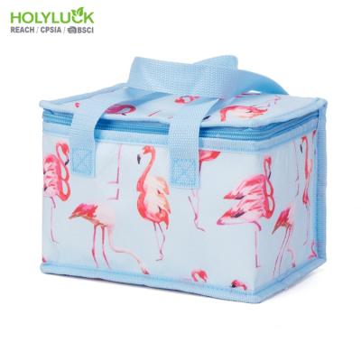 China Waterproof High Quality Non Woven Insulated Lunch Box Cooler Bag for sale