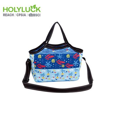 China Women Waterproof Waterproof Kids Tote Insulated Cooler Lunch Bag With Shoulder Strap Wholesale for sale