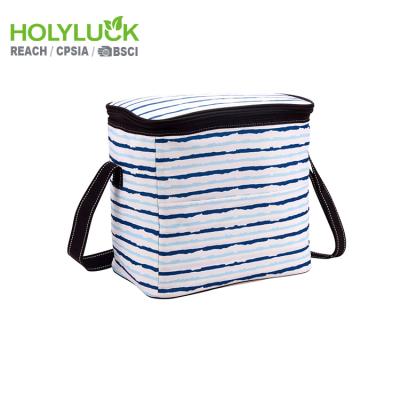 China Wholesale Waterproof Thermal Insulated Lunch Tote Custom Can Cooler Bag for sale