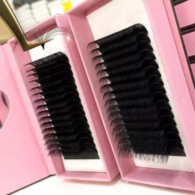 China Velyx Natural Soft Wholesale Volume Eyelash Extensions False Fanning Mink Flare Easy Fan Eyelash 0.03 Fan Fluffy Easy Lashes for sale