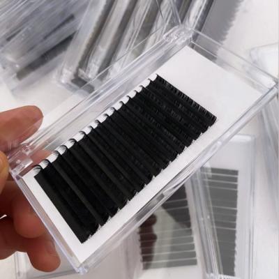 China Velyx Natural Soft Wholesale Soft Easy Fanning Mega Silk Volume Lash Rapid Blooming Easy Fan Eyelash Extension for sale