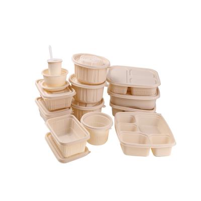 China Food High Quality China Manufacture Disposable Takeaway Degradable Heated Lunch Box for sale