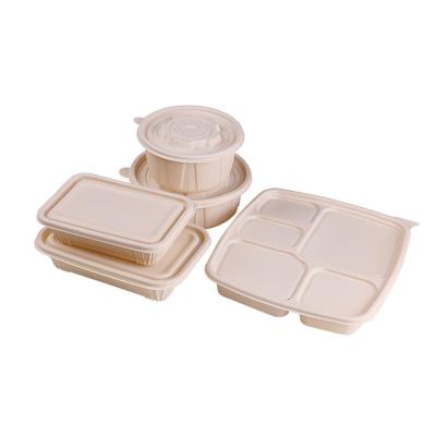 China Food Competitive Price Good Quality Disposable Degradable Plastic Takeaway Lunch Box for sale